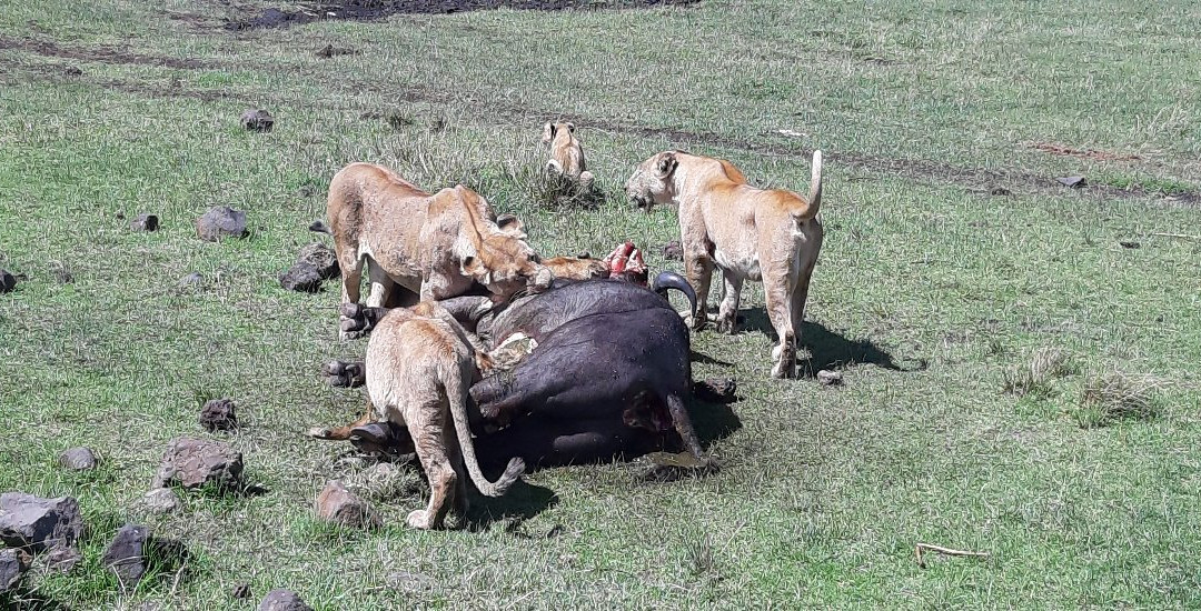 South Africa Travel Company Day Tours-开普敦中心区必去景点