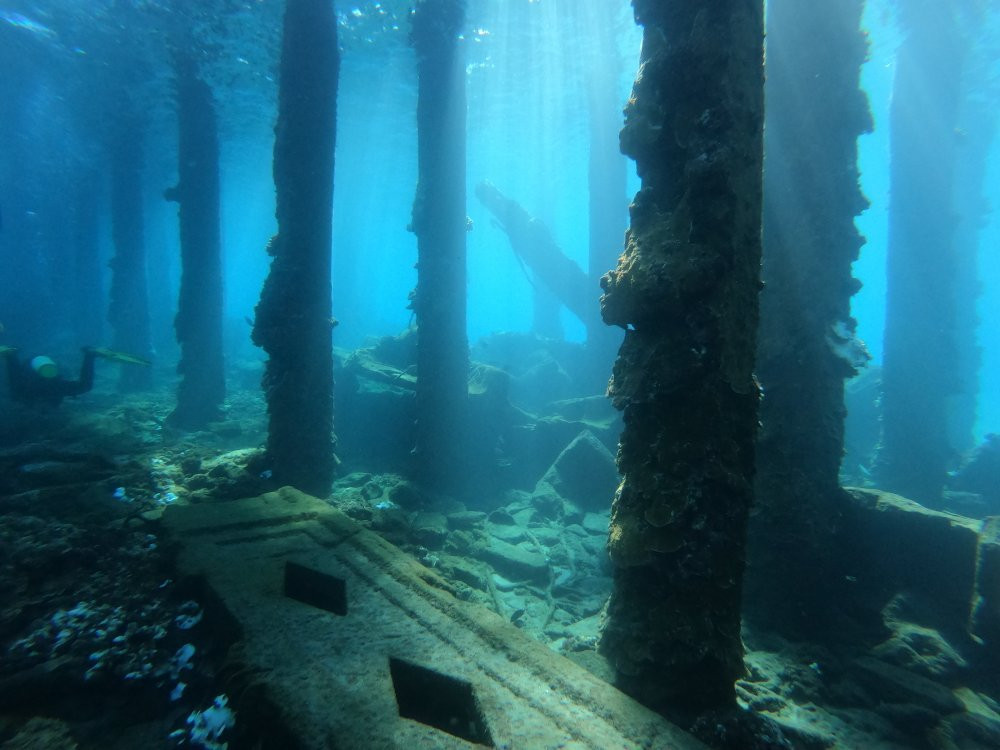 Banyan Tree Divers Maui景点图片