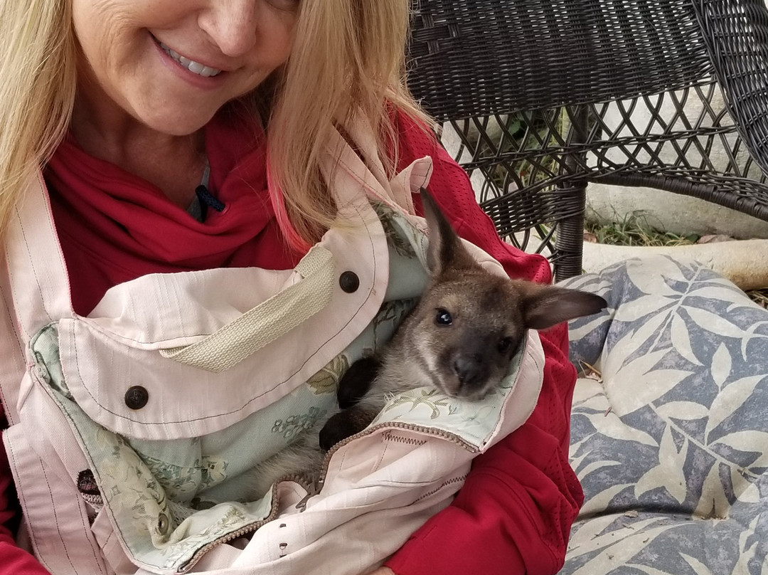 Roos2u-Germantown必去景点