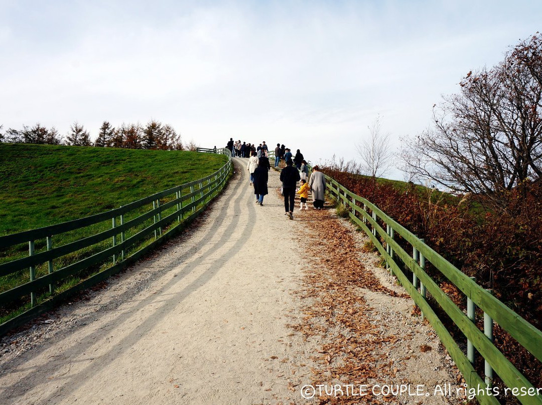 Daegwanryeong Yangtte Ranch-平昌郡必去景点