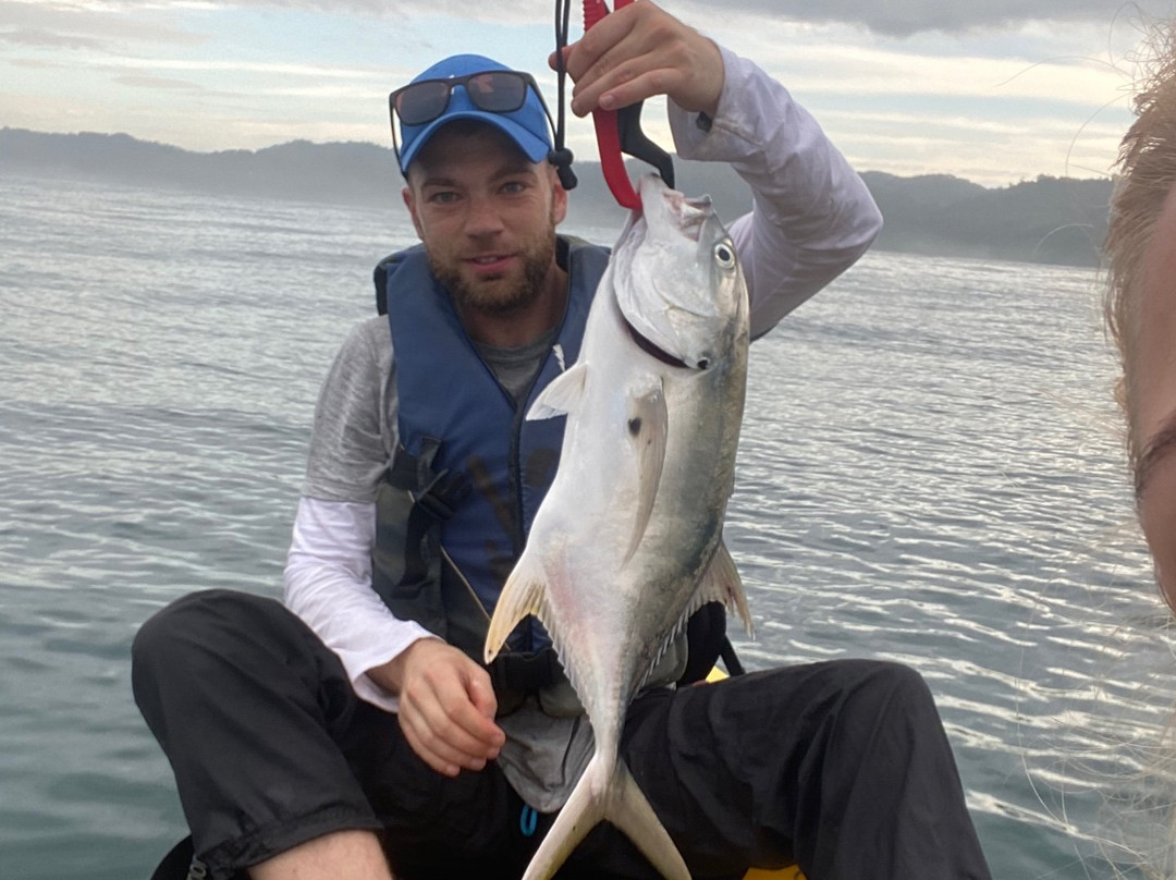 Sea Kayak Adventures景点图片