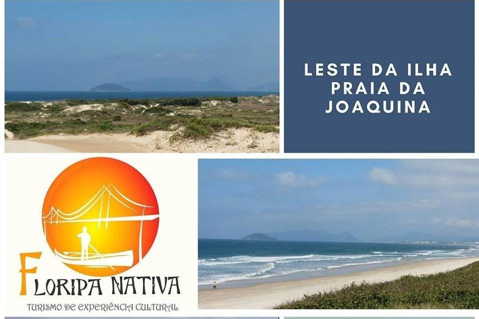 Floripa Nativa Ecoturismo-弗洛里亚诺波利斯必去景点