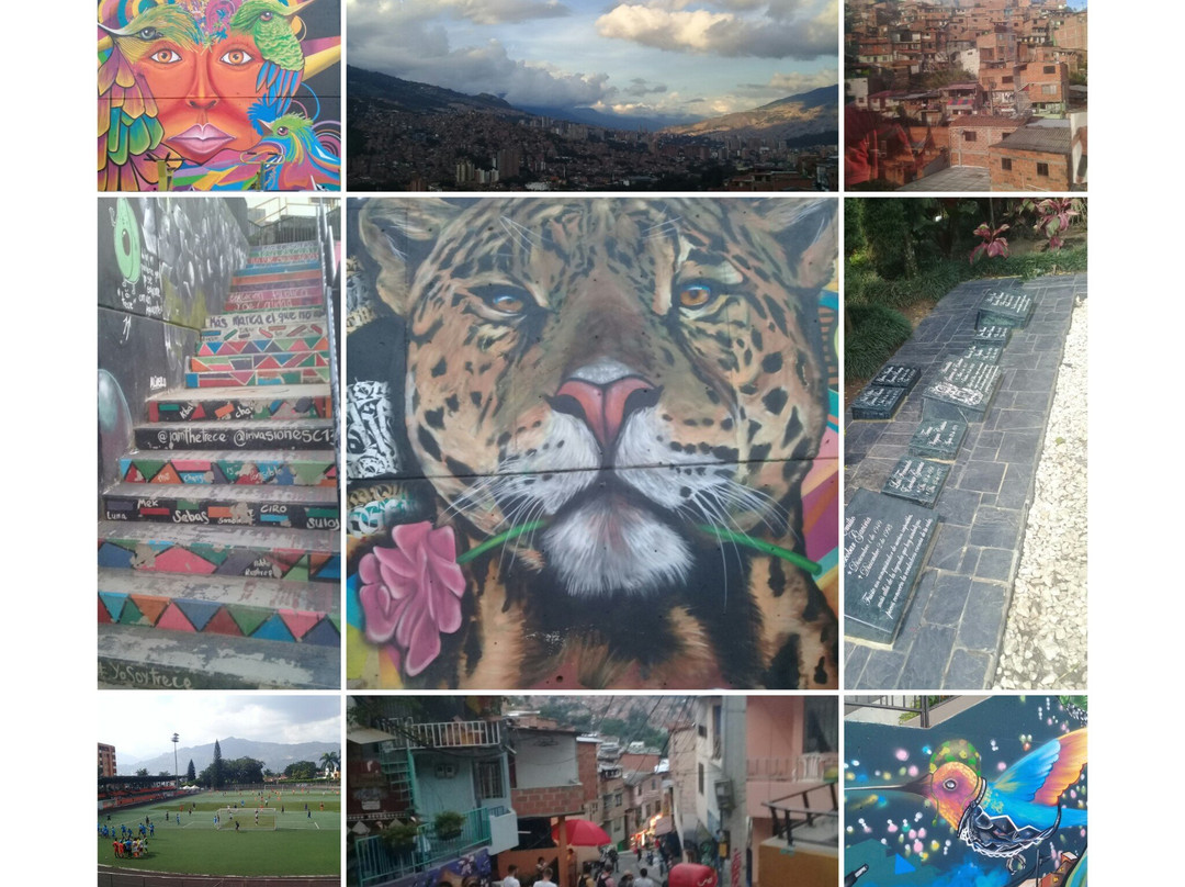 City Vibes Tours-麦德林必去景点