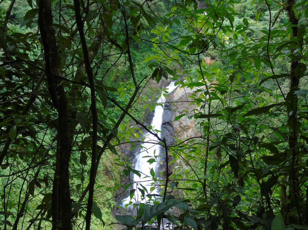 Cataratas Bijagua景点图片