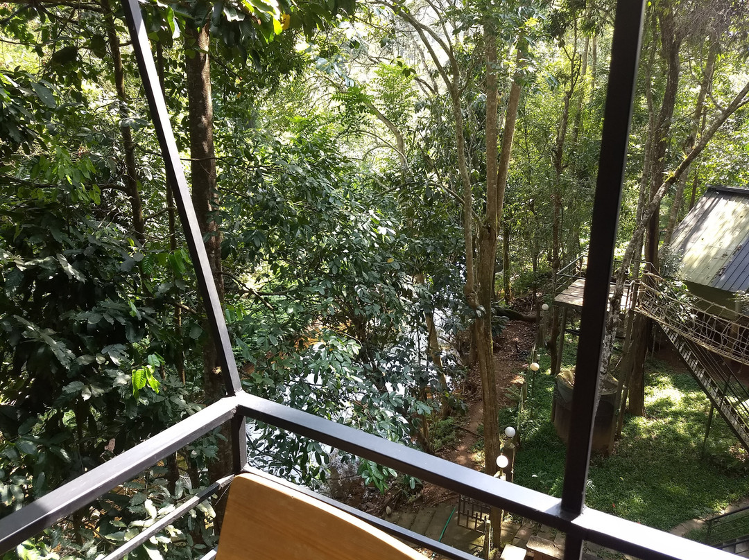 Jungle Beats Resorts主图