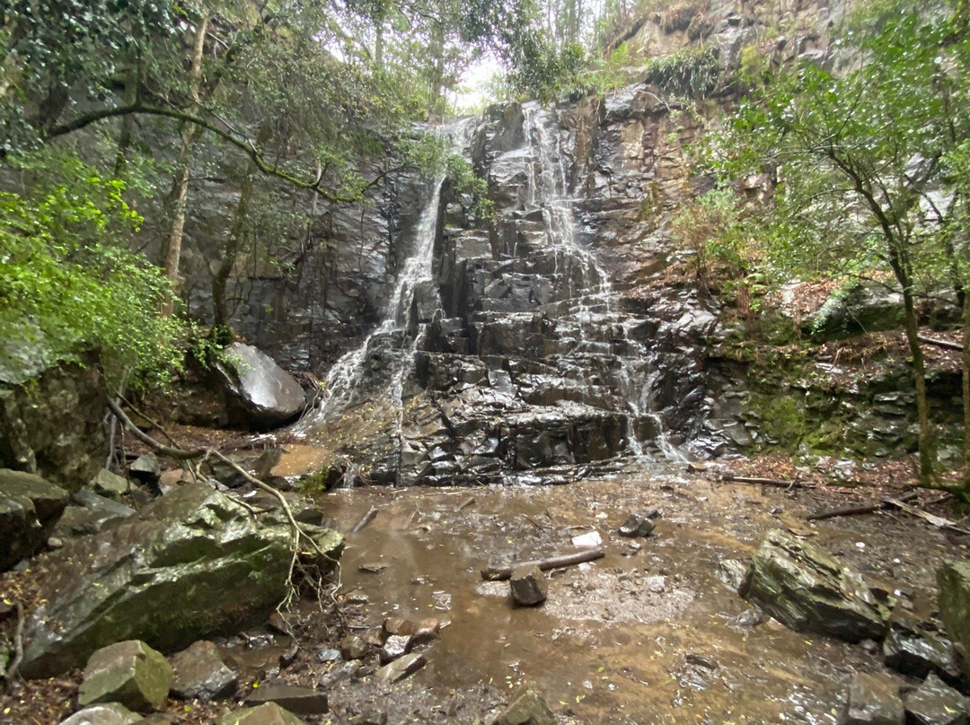 39 Steps-Hogsback必去景点