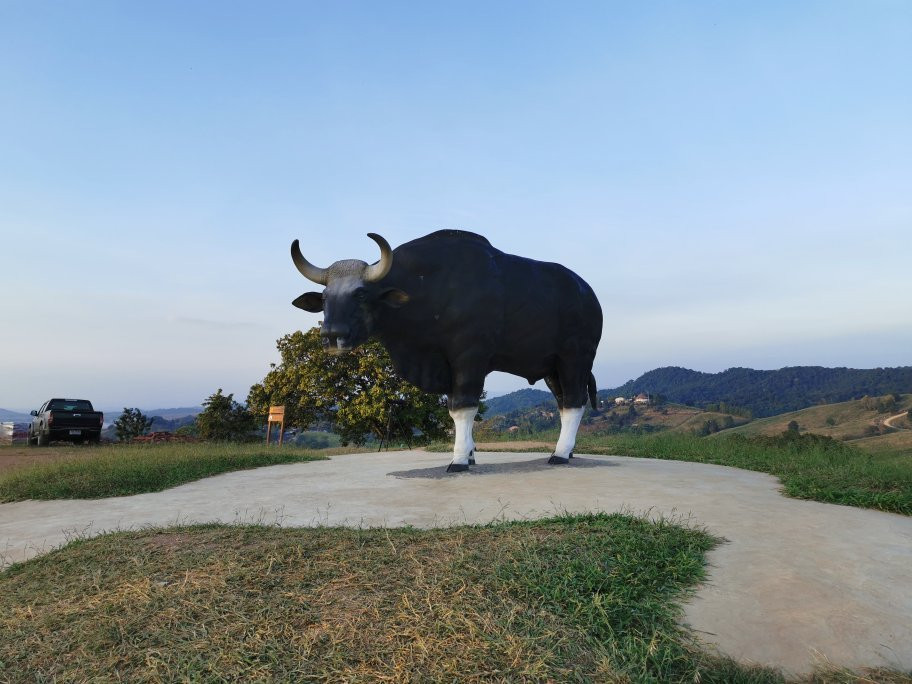 Kao Phang Ma景点图片