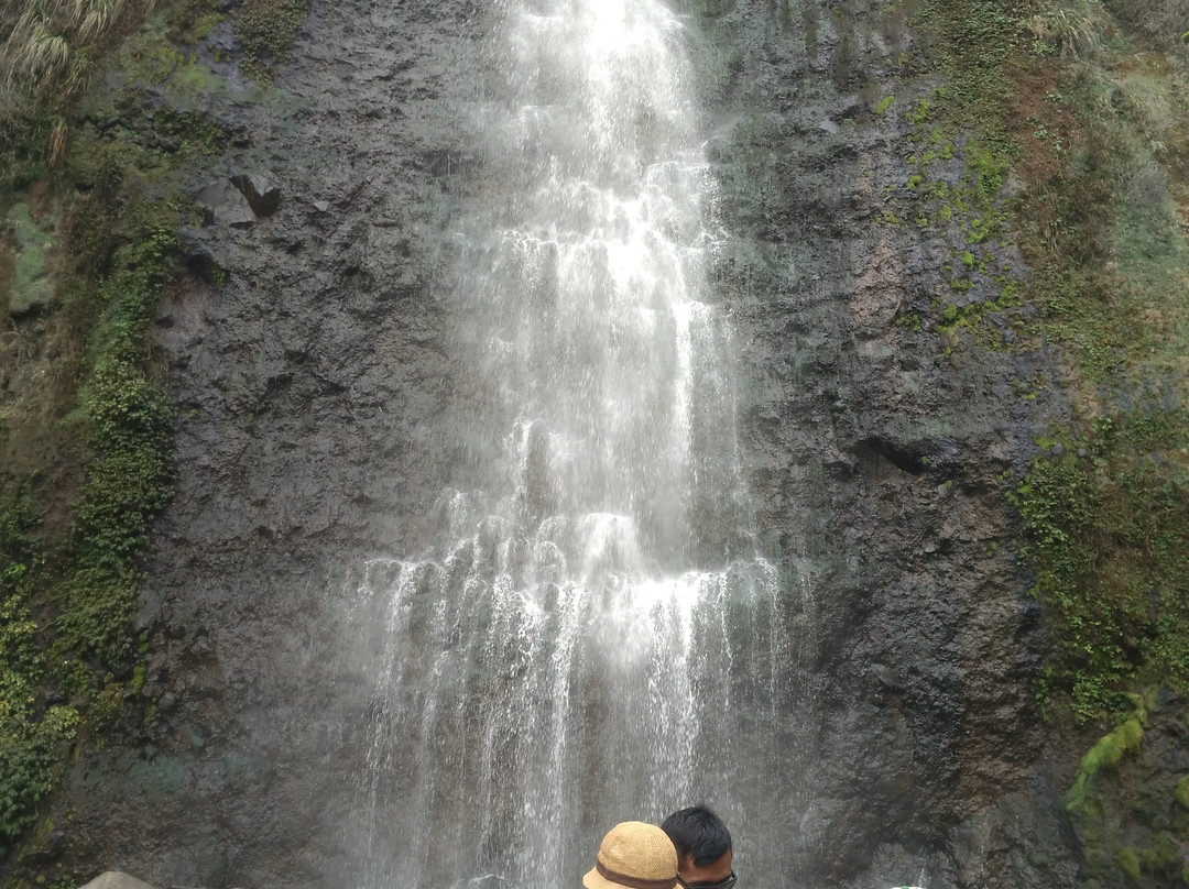 Cibodas Botanical Garden-Cianjur必去景点