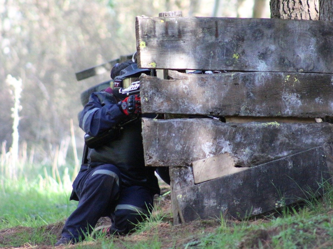 Canopy Lautaro-特木科必去景点