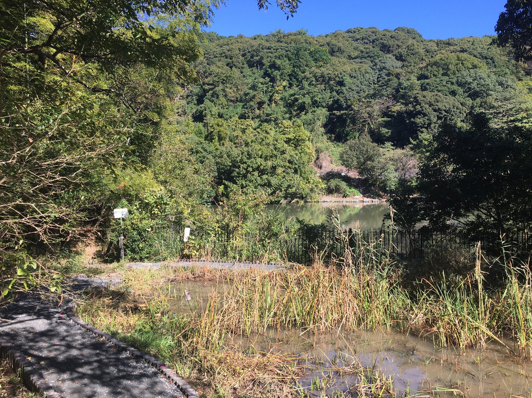 Senzugaya Pond-牧之原市必去景点