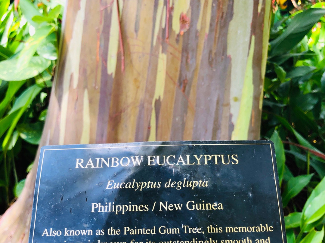 Hana Maui Botanical Gardens主图