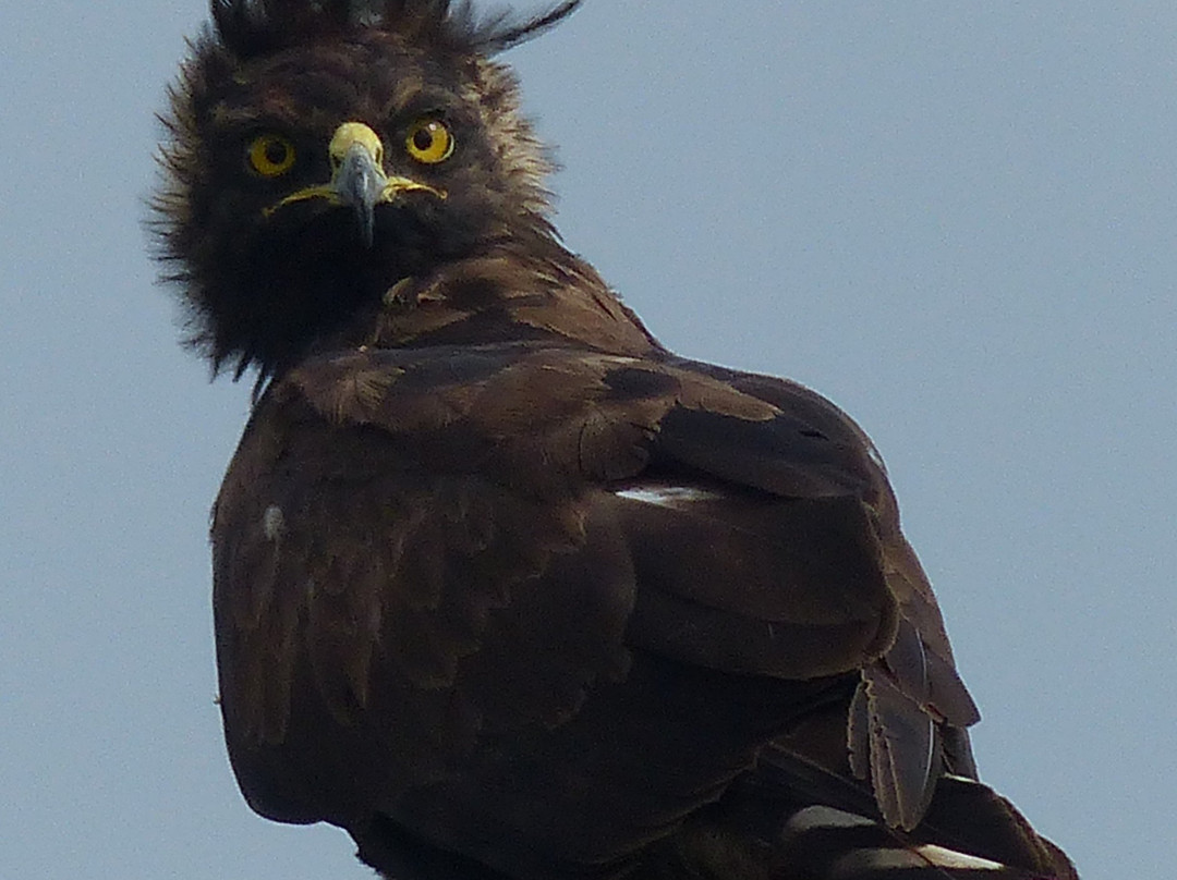 Taita Hills Wildlife Sanctuary景点图片