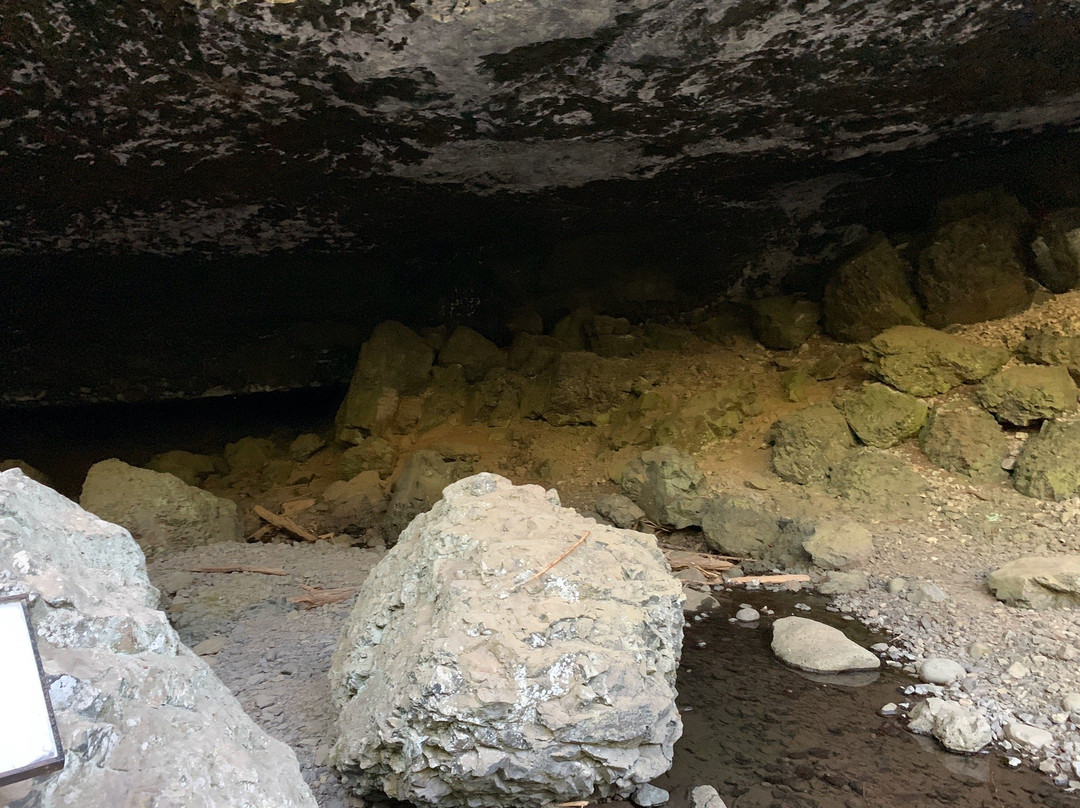Boulder Cave Trail景点图片