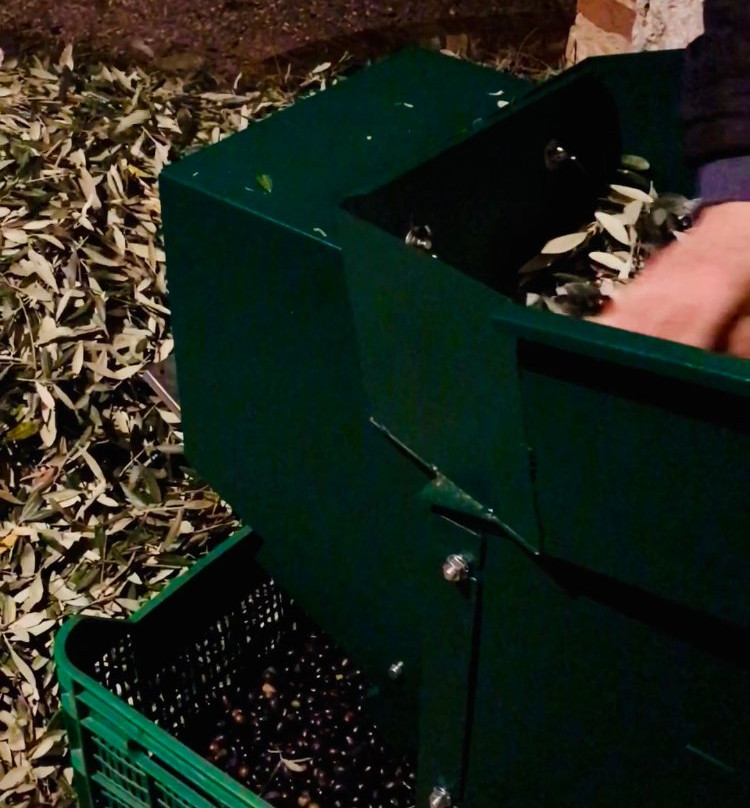 Villa Osperellone主图