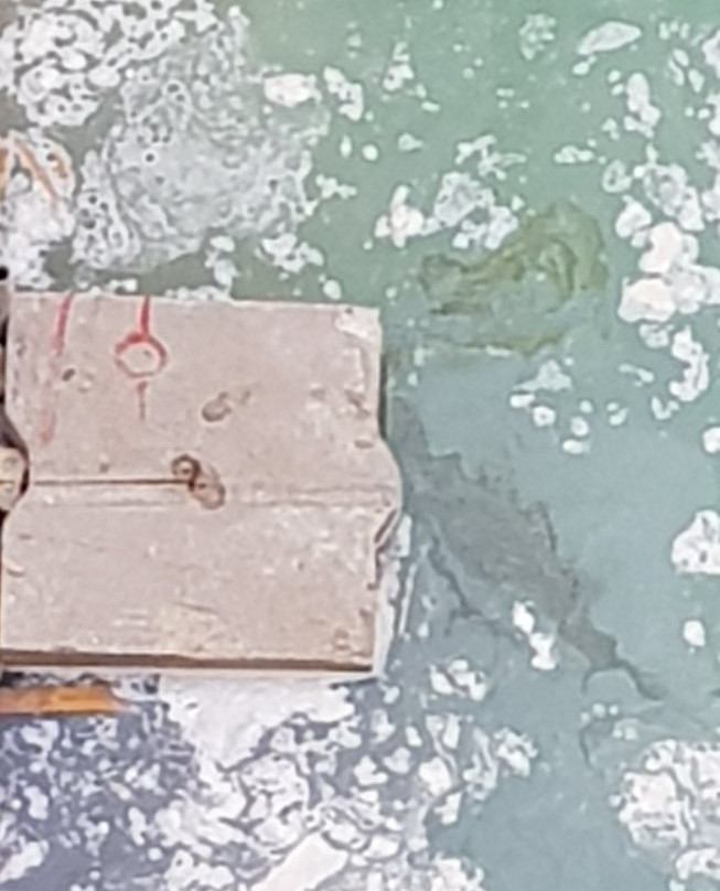 Relax Inn Hotel主图