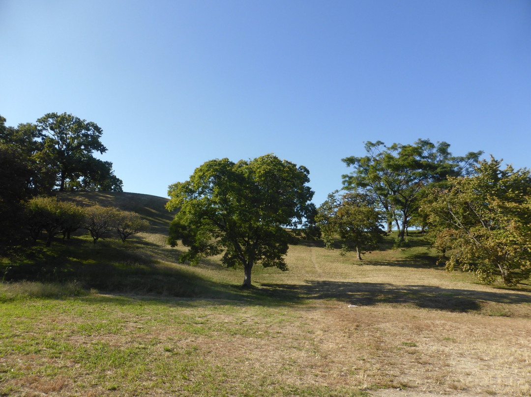 Komuroyama Ancient Tomb-藤井寺市必去景点