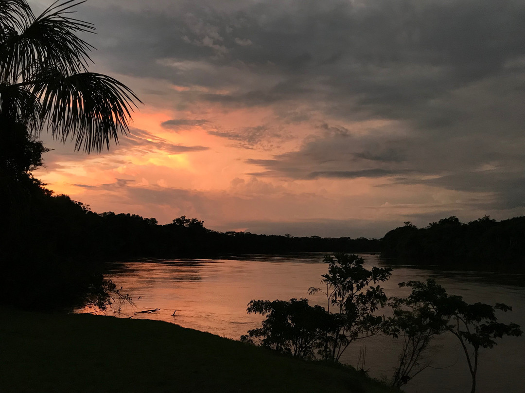 Ayahuasca Foundation-伊基托斯必去景点