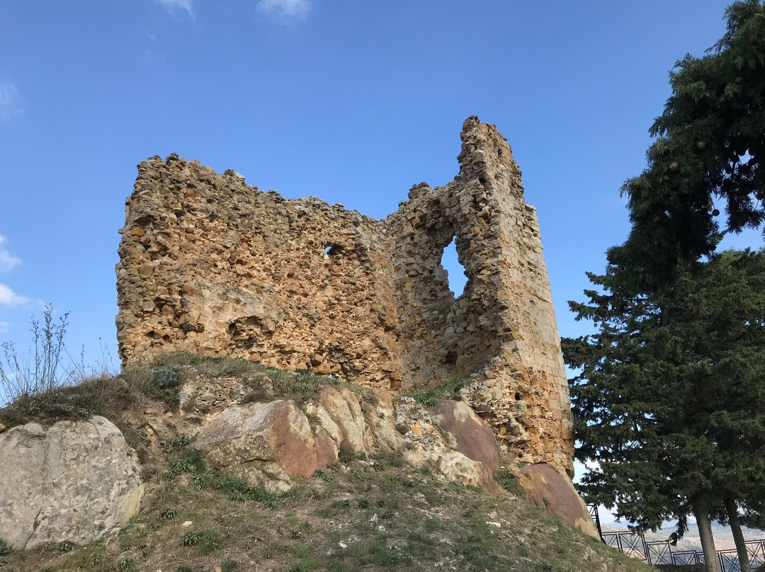 Castello di Nicosia景点图片