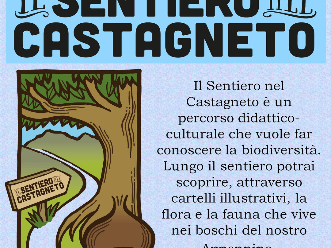 Il Sentiero nel Castagneto-Marradi必去景点