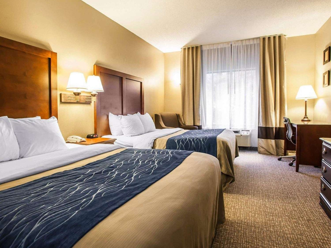 Comfort Inn & Suites主图