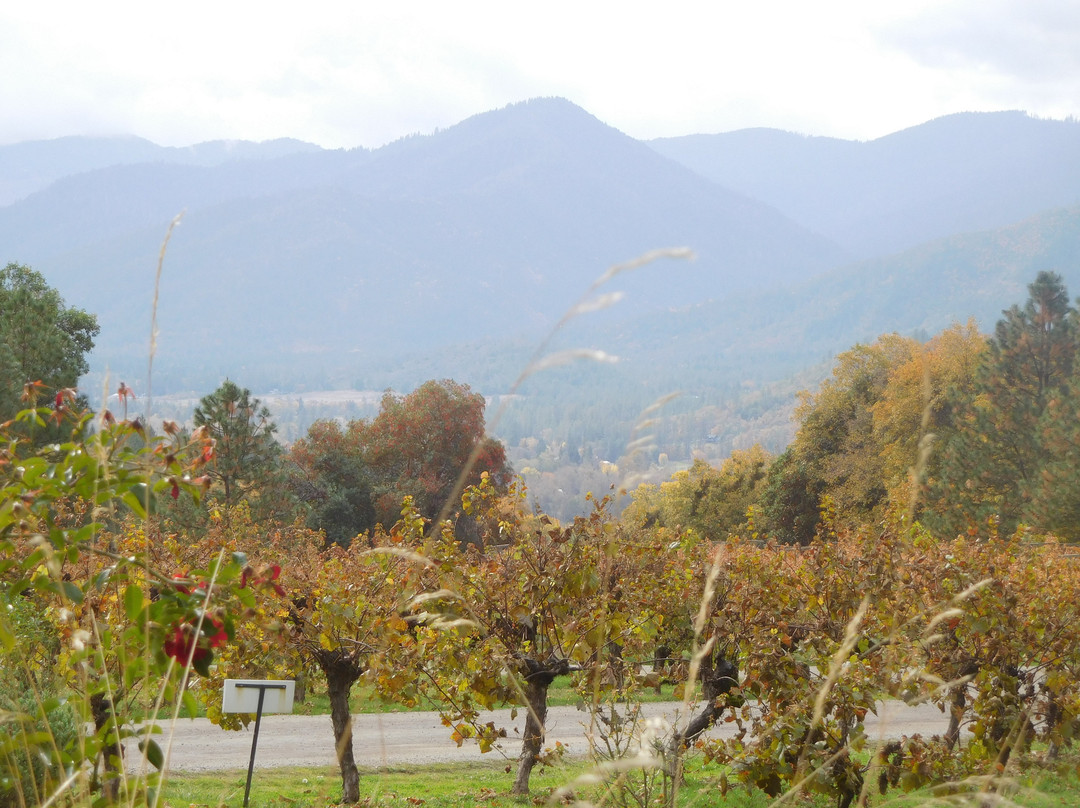 Wooldridge Creek Winery-格兰茨帕斯必去景点