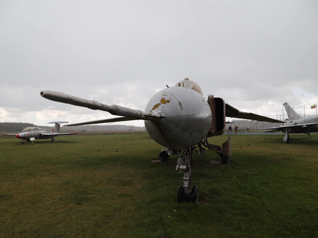 Įstros Aviacijos Muziejus - Airplane Museum景点图片