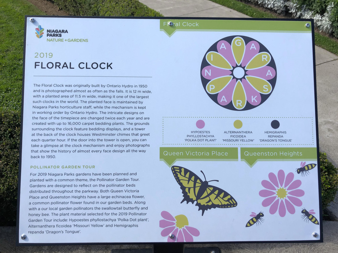 Floral Clock景点图片