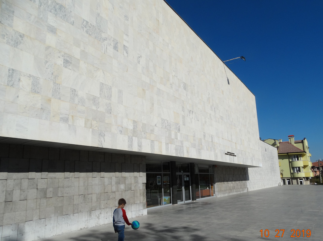 Vladimir Dimitrov Art Gallery-Kyustendil必去景点