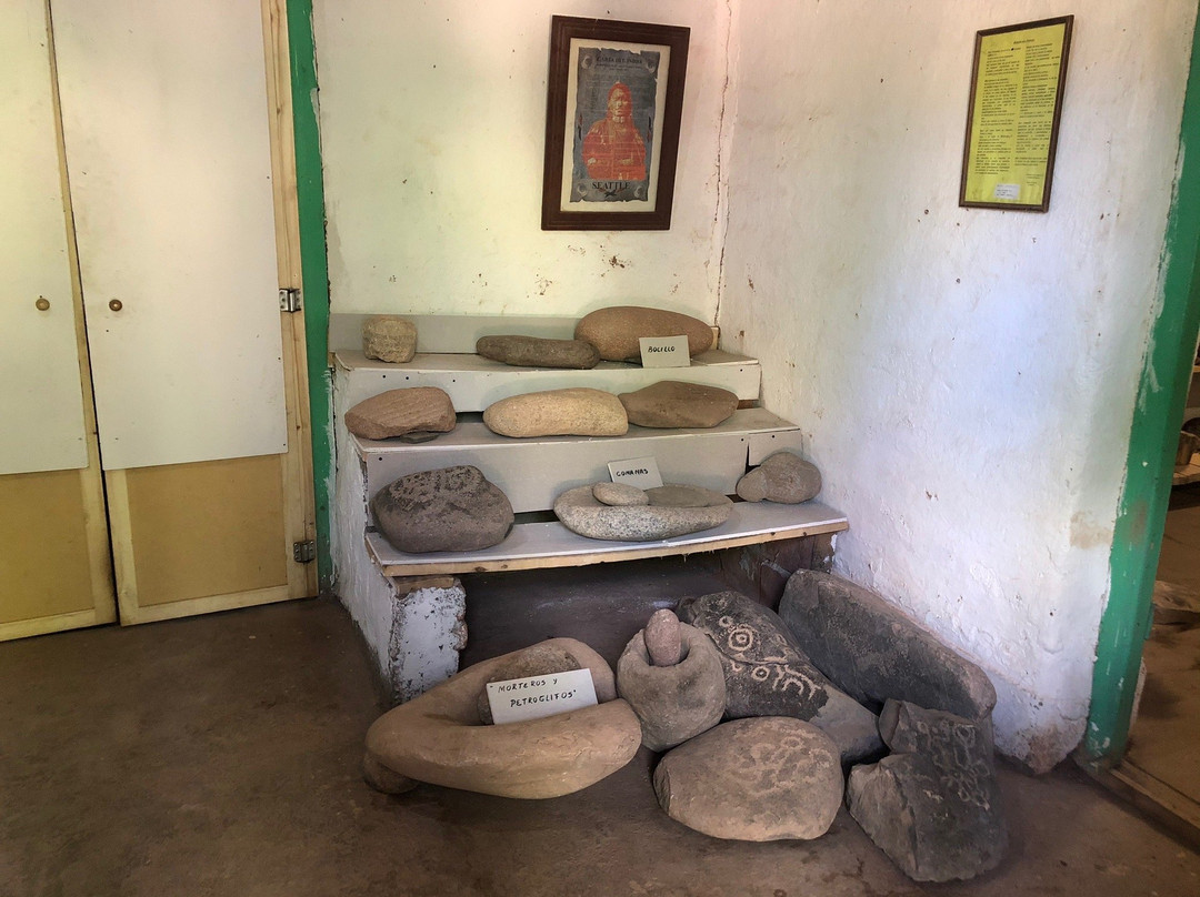 Museo Renzo Herrera景点图片