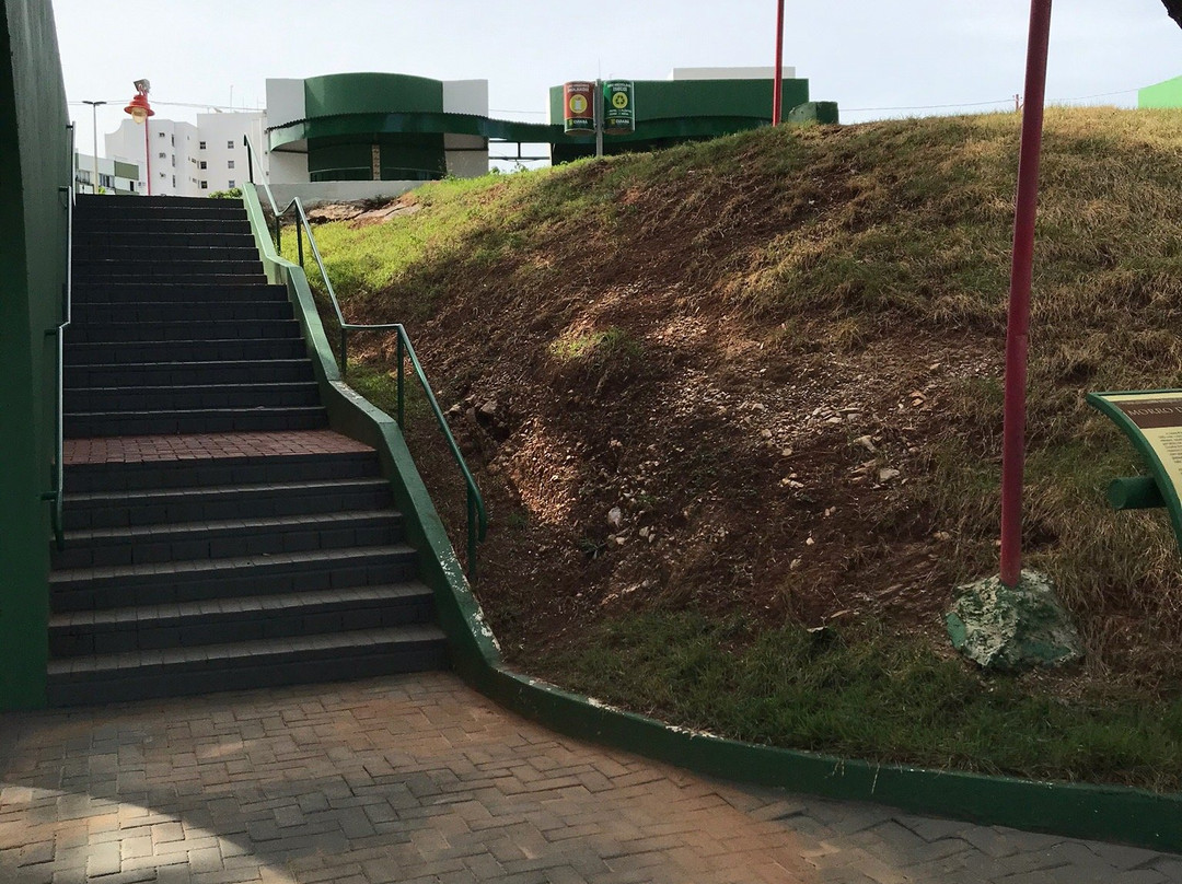 Museu Do Morro Da Caixa D'água Velha景点图片