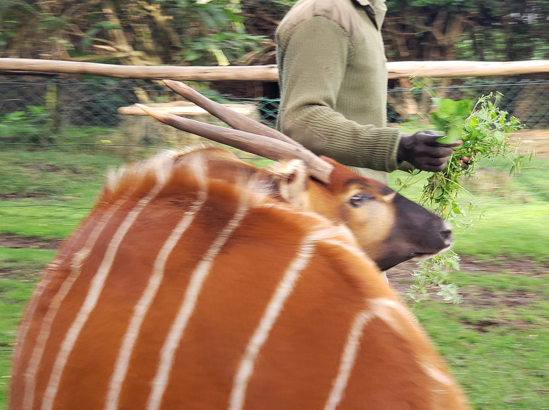 Traverze Culture-奥兰多必去景点