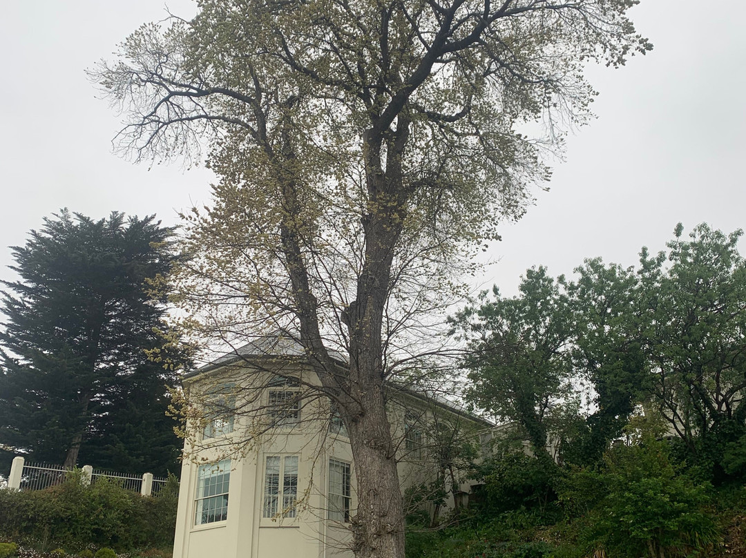 伍德布里奇德温特酒店主图