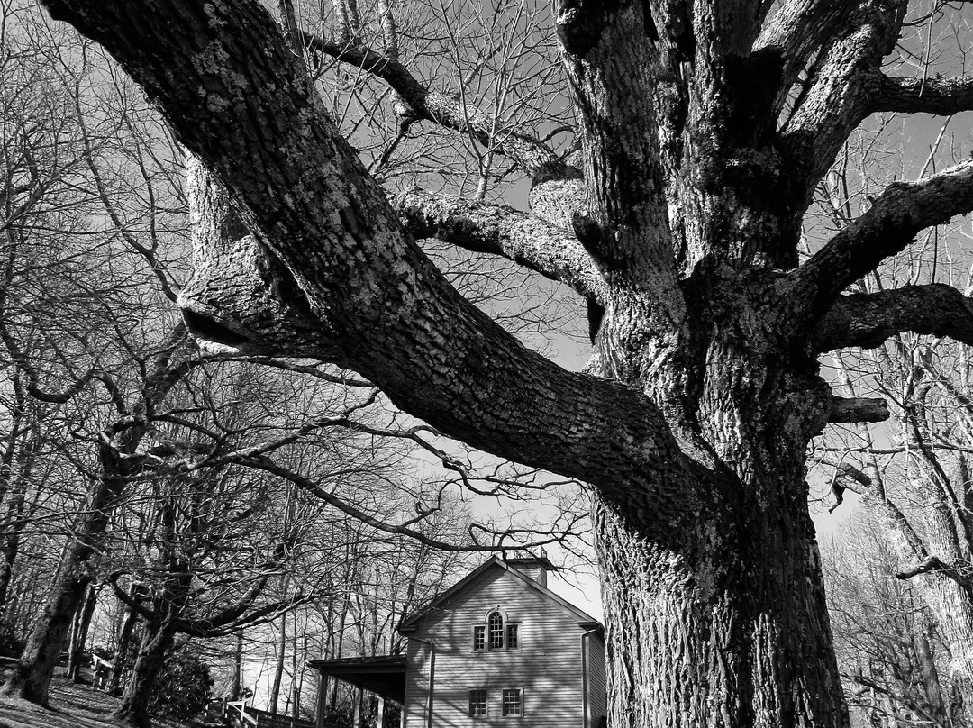 Moses H. Cone Memorial Park景点图片