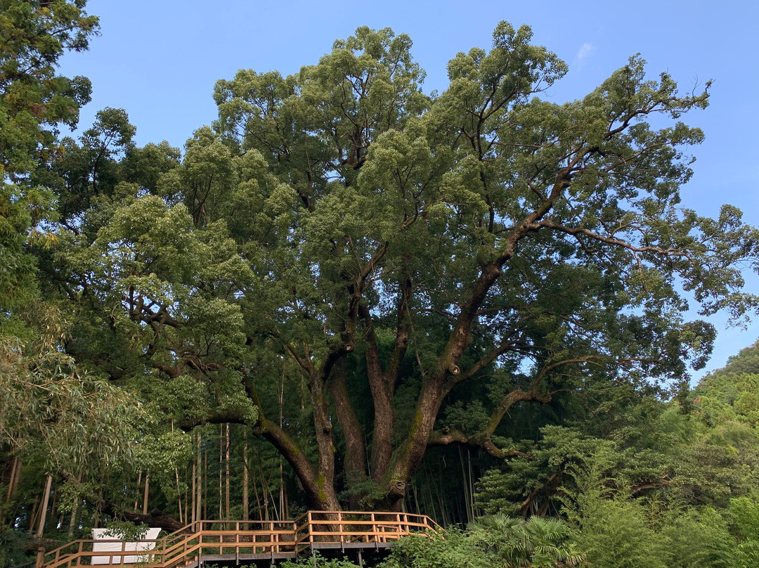 Kamiyatsuno Okusuu-越生町必去景点
