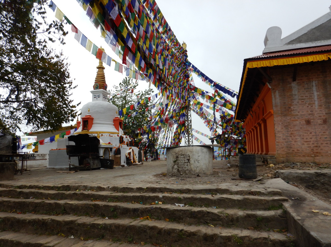 纳嘉郡森林保护区-加德满都必去景点