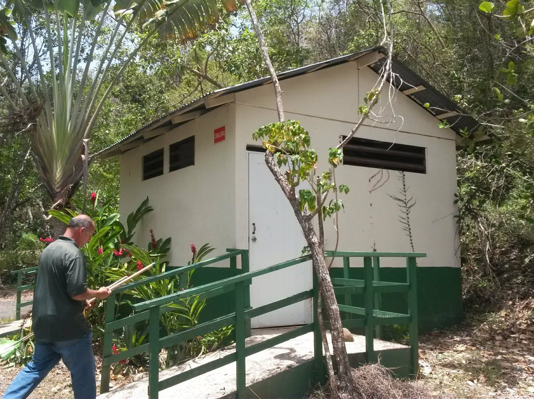 Susua State Forest景点图片