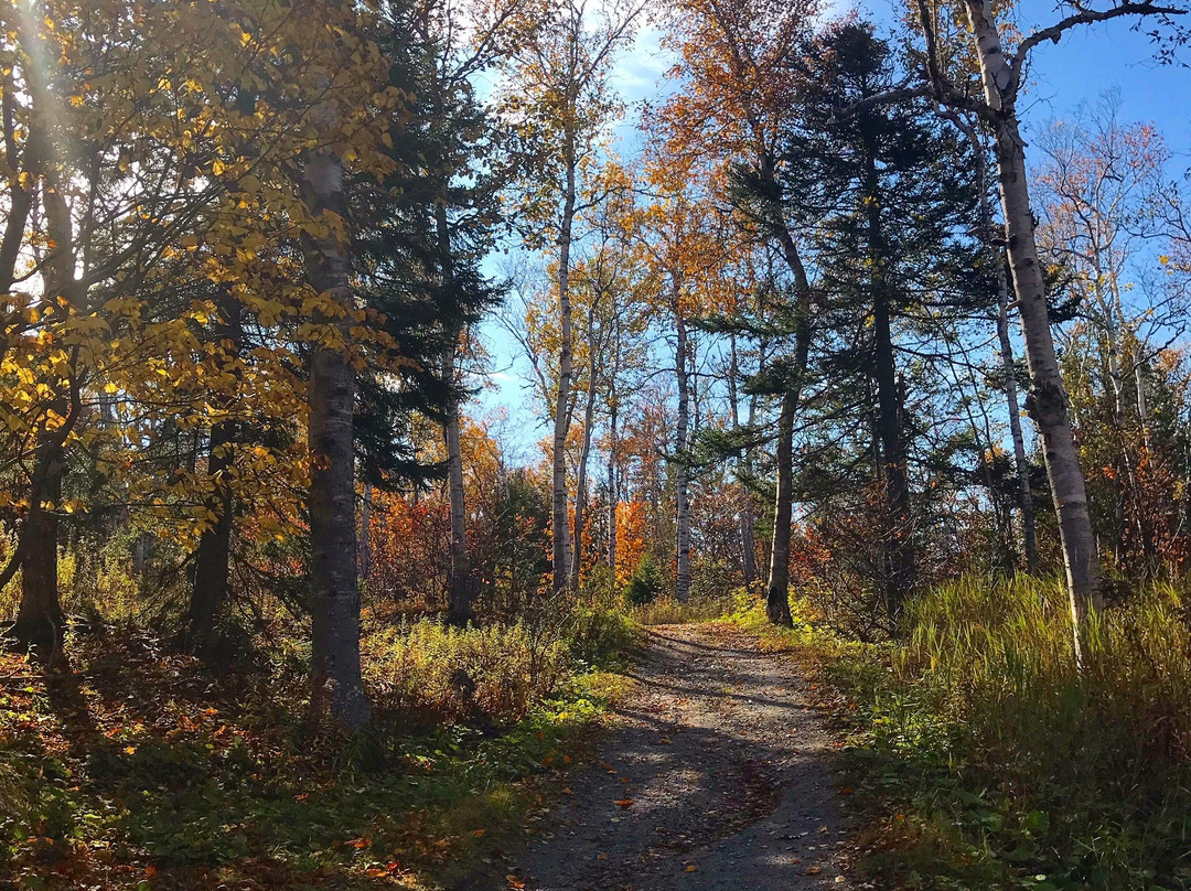 Rockwood Park景点图片