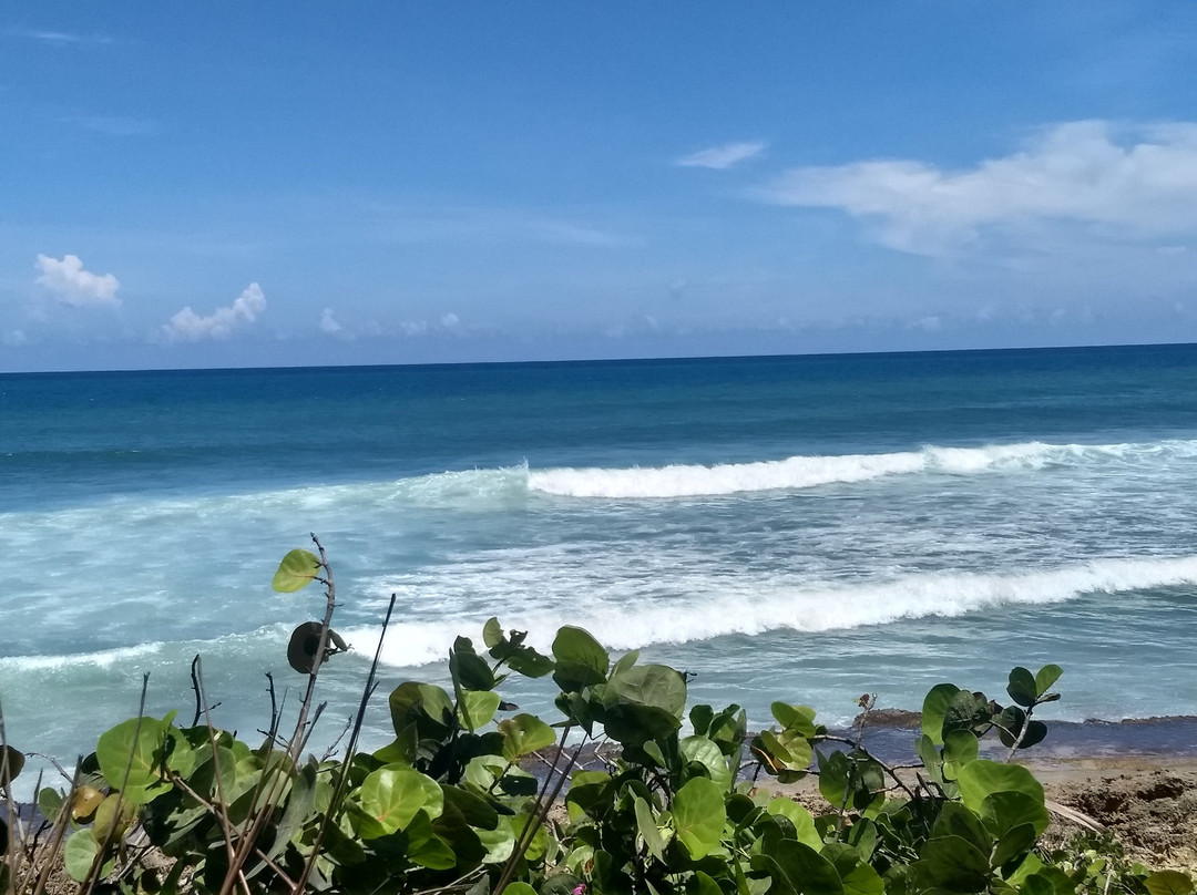 Surfer's Beach景点图片