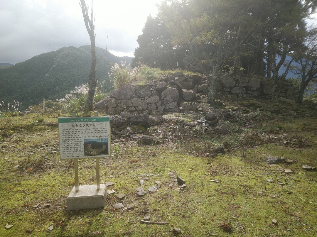 The remains of Wakasaonigajo Castle景点图片