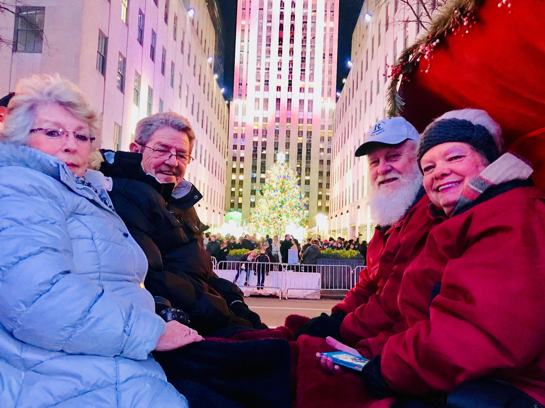 VIP Central Park tours-纽约市必去景点