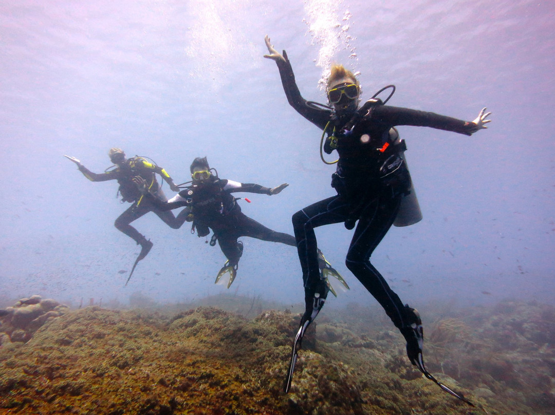 Central Dive Curacao-威廉斯塔德必去景点