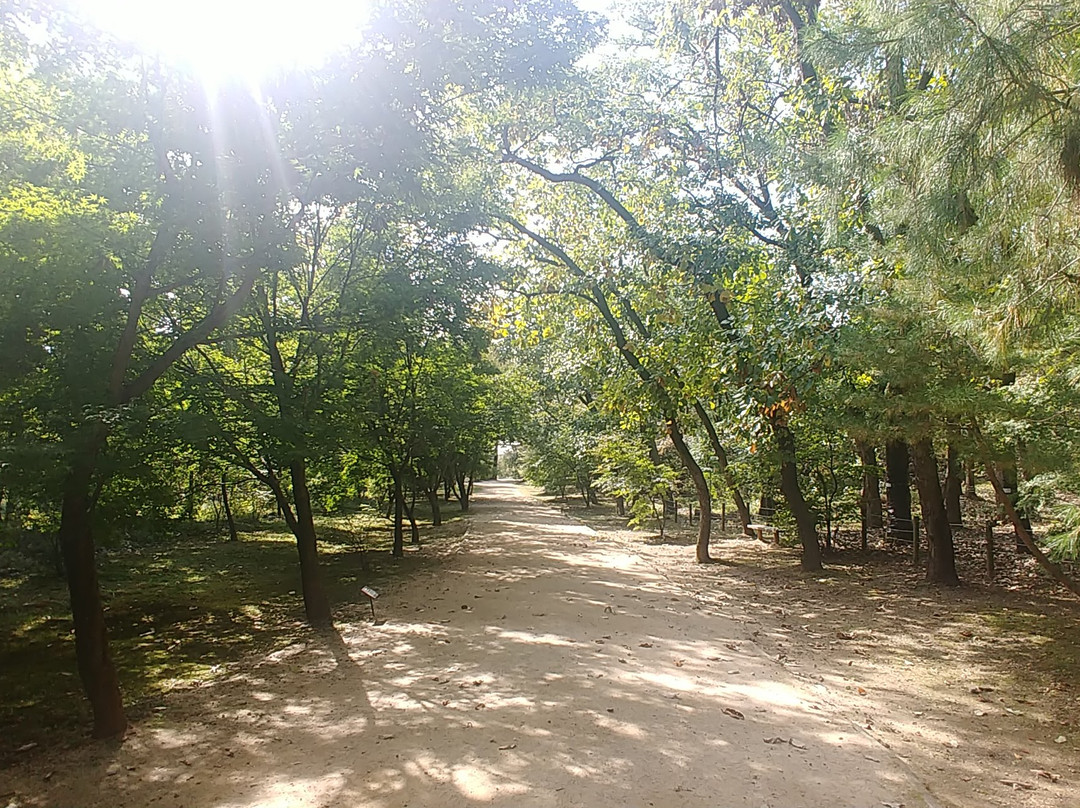 Samneung (Gongneung, Sulleung and Yeongneung)-坡州市必去景点