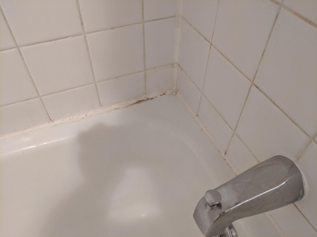 派克伍德旅馆主图