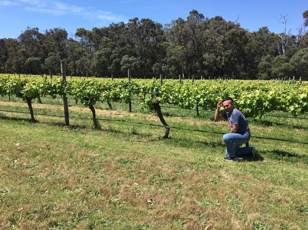 Margaret River Winemakers景点图片
