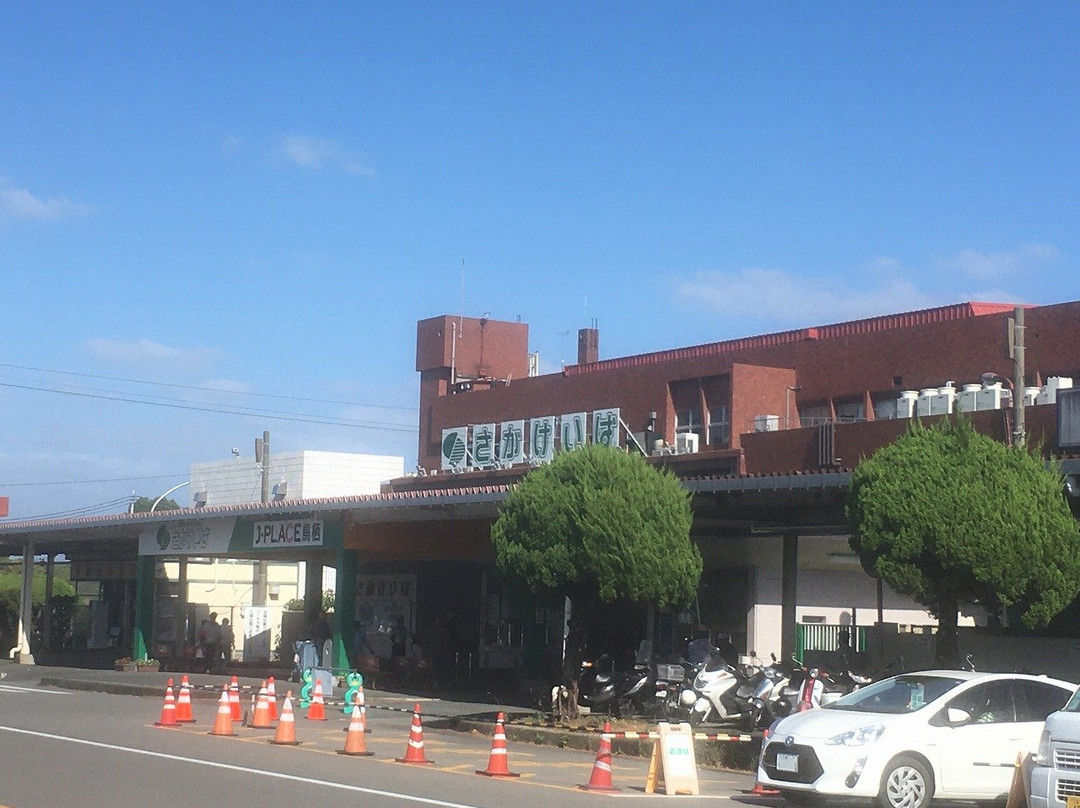 Saga Horse Racetrack-鸟栖市必去景点