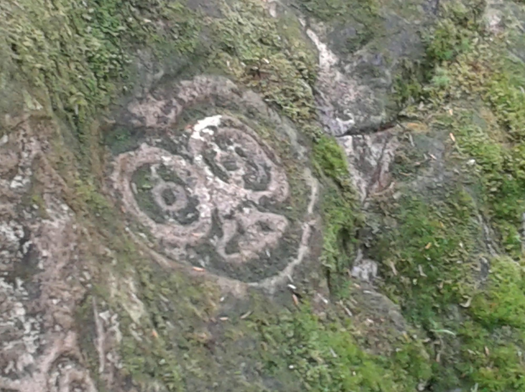 Petroglyph Galley景点图片