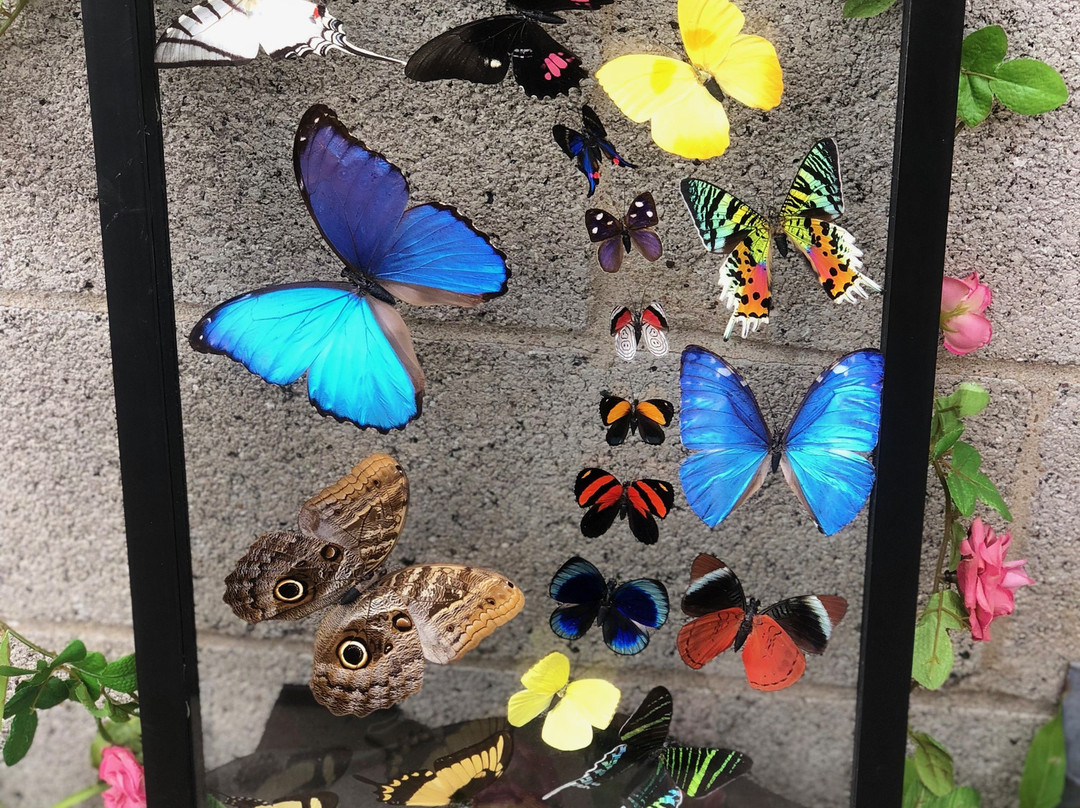 Strip District-匹兹堡必去景点