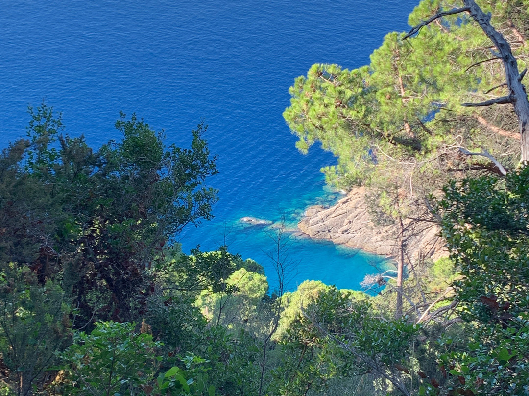 Parco di Portofino-波托菲诺必去景点