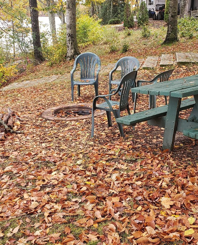 Dixon Lake Resort Motel主图