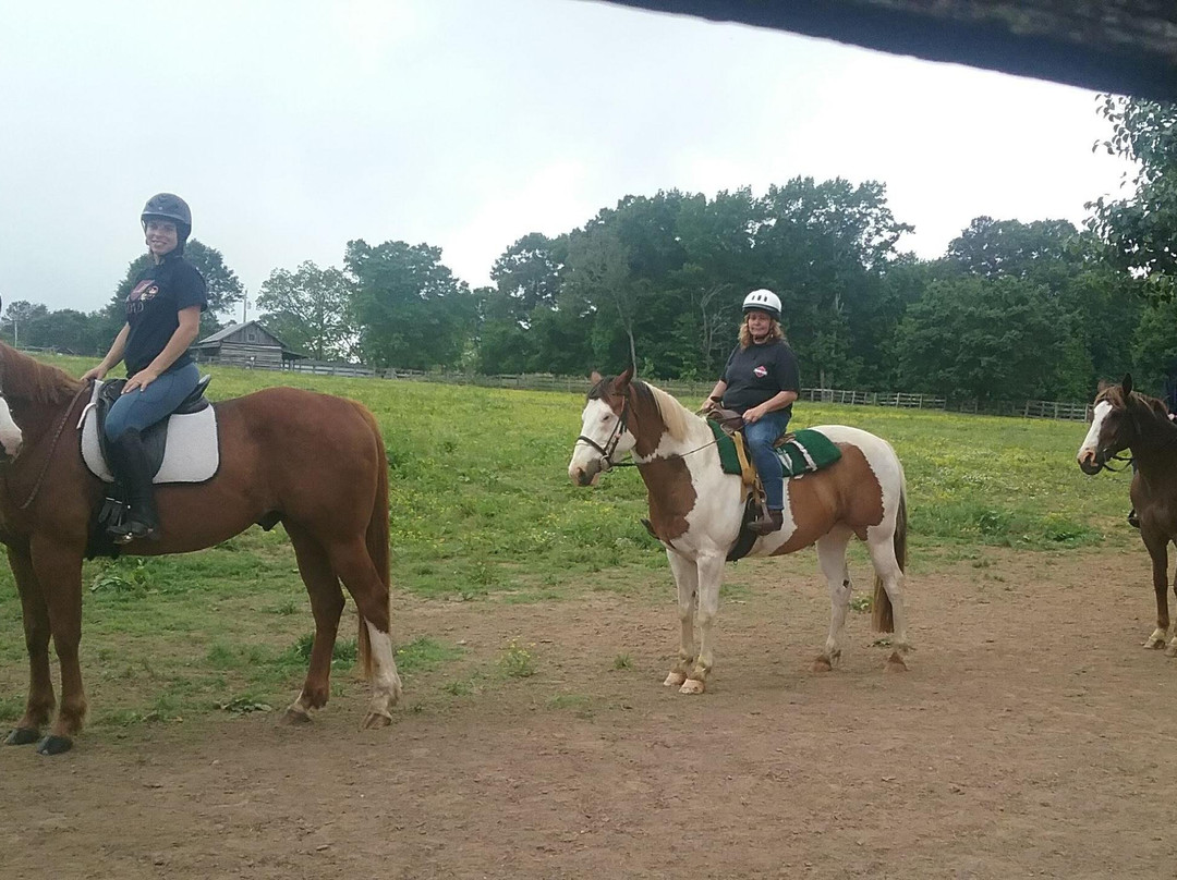 Cardinal Stables and Riding Academy景点图片